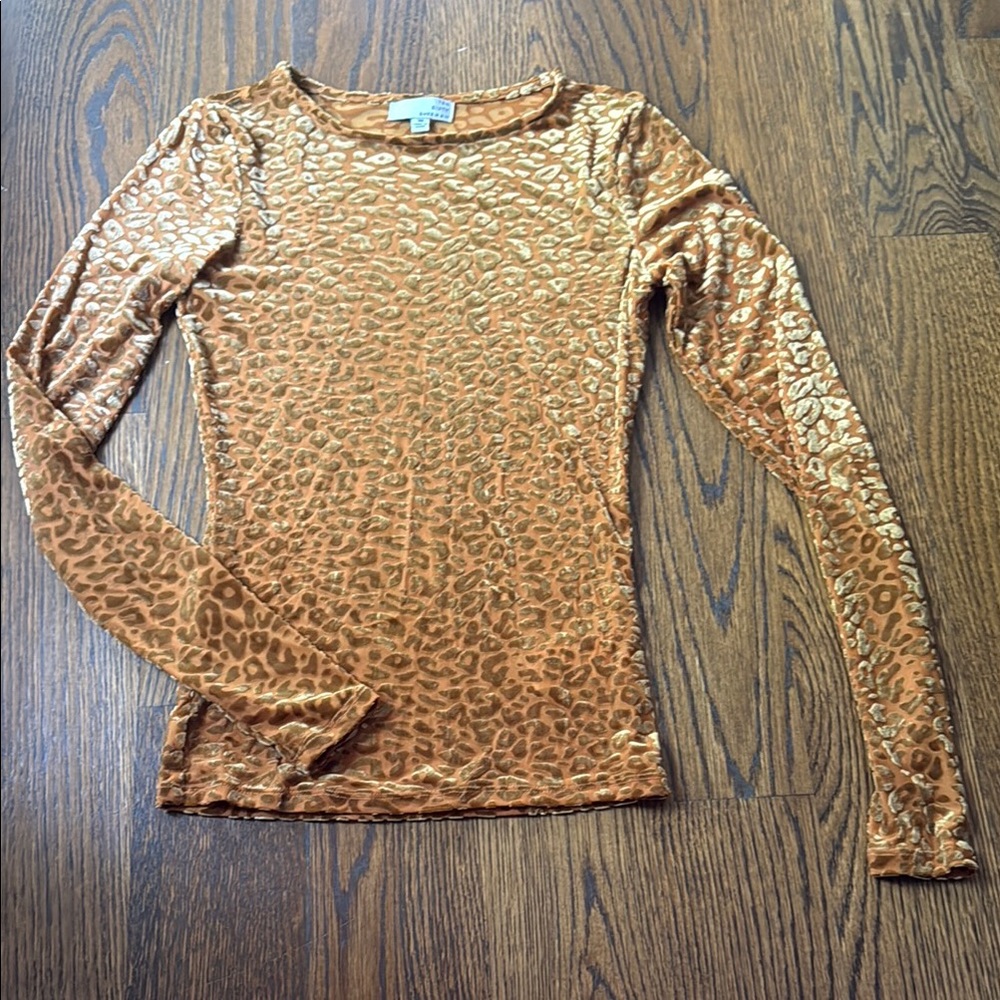 Leopard Print Long Sleeve sheer Top